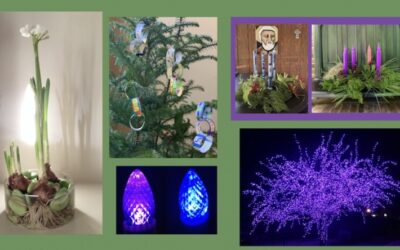 Last-Minute Small and Simple Advent Practices